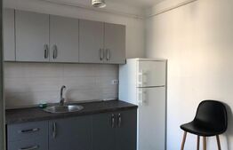 Apartament de 2 camere,  42.60 mp, mobilat si utilat modern, Calea Severinului 