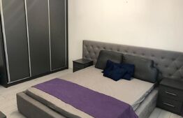 Apartament de 2 camere,  42.60 mp, mobilat si utilat modern, Calea Severinului 