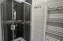 Apartament de 2 camere,  42.60 mp, mobilat si utilat modern, Calea Severinului 