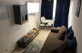 Apartament de 2 camere,  42.60 mp, mobilat si utilat modern, Calea Severinului 
