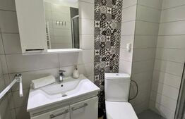 Apartament de 2 camere,  42.60 mp, mobilat si utilat modern, Calea Severinului 