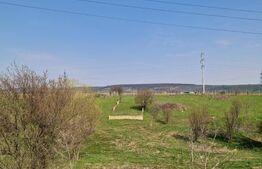 Teren extravilan, 500 mp de vânzare în Pielești, comision 0%