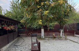 Vilă P+1 de 260 mp în Drăgănești-Olt – ideală pentru familie