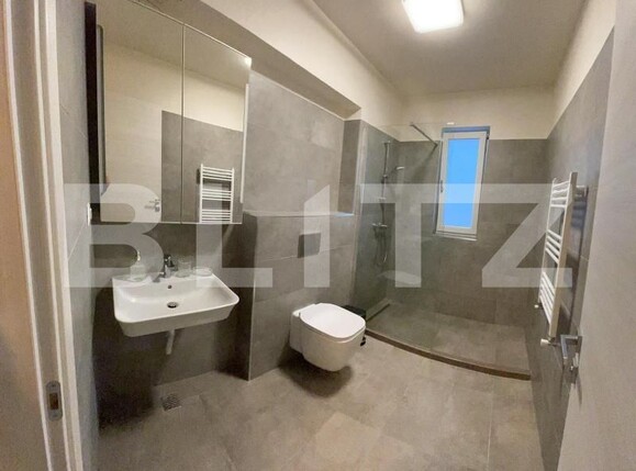 Apartament de închiriat 2 camere Lapus Arges - 196461AI | BLITZ Craiova | Poza8
