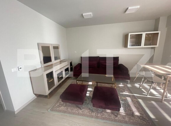 Apartament de închiriat 2 camere Lapus Arges - 196461AI | BLITZ Craiova | Poza2
