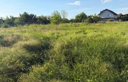 Teren intravilan, 1000 mp, front 16 ml, Dudovicesti, Simnicul de Sus