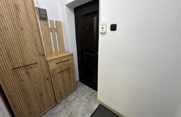 Garsoniera de inchiriat, AC, 30 mp, zona Ultracentral