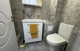 Garsoniera de inchiriat, AC, 30 mp, zona Ultracentral