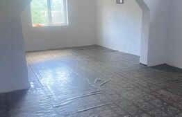 Casa 300 mp,afacere (cămin bătrâni, pensiune), zona Breasta