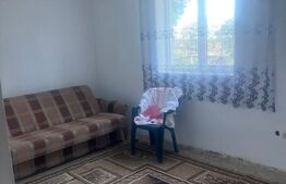 Casa 300 mp,afacere (cămin bătrâni, pensiune), zona Breasta