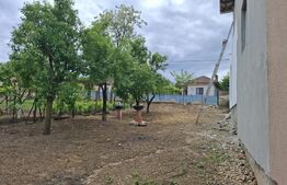 Casa 300 mp,afacere (cămin bătrâni, pensiune), zona Breasta
