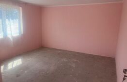 Casa 300 mp,afacere (cămin bătrâni, pensiune), zona Breasta