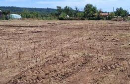 Teren intravilan 2.531 mp, dublă deschidere 2 străzi, utilități, zona Radovan