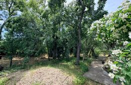 Casă la doar 10 km de Craiova - Satul Motoci, Comuna Mischii 