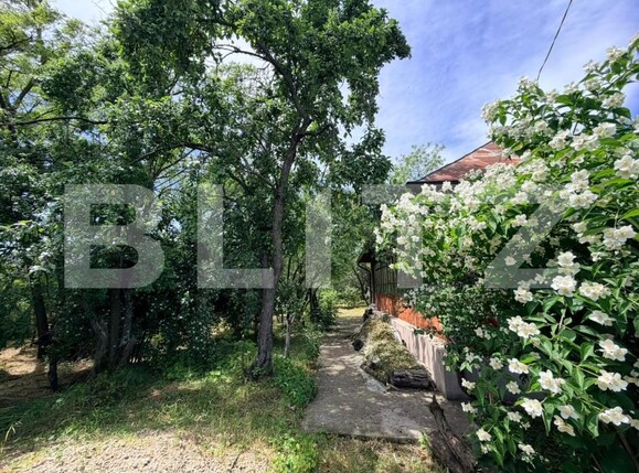 Casa de vânzare 2 camere Exterior  Nord - 196723CV | BLITZ Craiova | Poza4