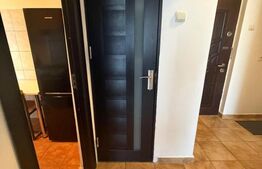 Apartament 2 camere decomandat, 50 mp, Bld Carol, zona Garii