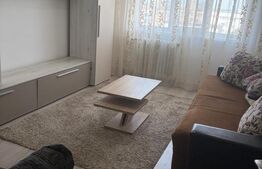 Apartament 2 camere decomandat, 50 mp, Bld Carol, zona Garii