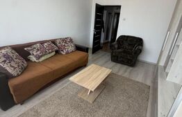 Apartament 2 camere decomandat, 50 mp, Bld Carol, zona Garii