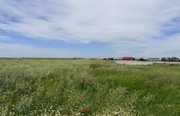 Teren intravilan de vânzare, 2.400 mp ideal pentru construcție, zona Coșoveni 