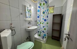 Apartament de inchiriat, 2 camere, 50 mp, Brazda lui Novac 