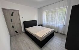 Apartament de inchiriat, 2 camere, 50 mp, Brazda lui Novac 