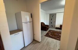 Apartament de inchiriat, 2 camere, 50 mp, Brazda lui Novac 