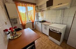 Apartament de inchiriat, 2 camere, 50 mp, Brazda lui Novac 