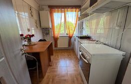 Apartament de inchiriat, 2 camere, 50 mp, Brazda lui Novac 