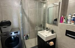 Penthouse cu terasa si jacuzzi, zona Independenta