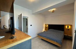 Penthouse cu terasa si jacuzzi, zona Independenta