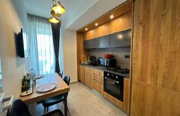 Penthouse cu terasa si jacuzzi, zona Independenta