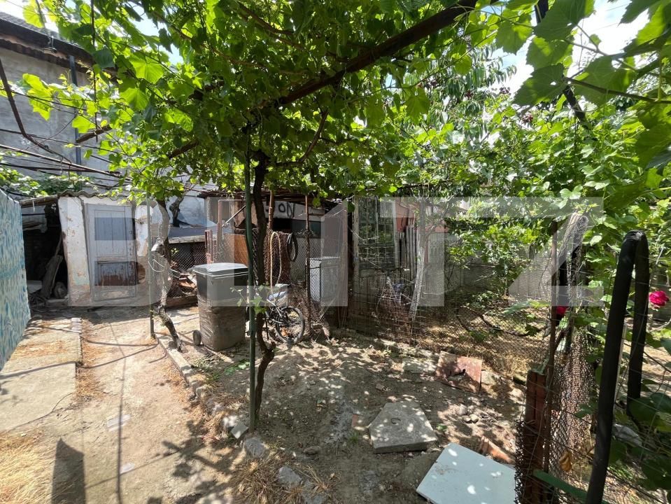 Casa de vânzare 5 camere Lascar Catargiu - 196927CV | BLITZ Craiova | Poza5