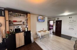 Apartament open-space cu 3 camere, 58 mp, zona Rovine
