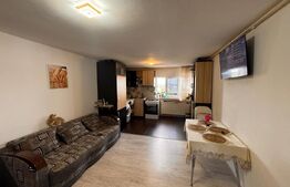 Apartament open-space cu 3 camere, 58 mp, zona Rovine