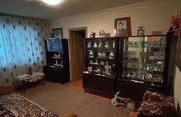 Apartament de vanzare, 39 mp, zona Craiovita Noua - Segarcea