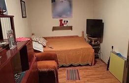 Apartament de vanzare, 39 mp, zona Craiovita Noua - Segarcea