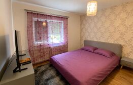 Apartament 2 camere decomandat, 52 mp, zona Brazda lui Novac