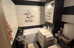 Apartament 2 camere decomandat, 52 mp, zona Brazda lui Novac