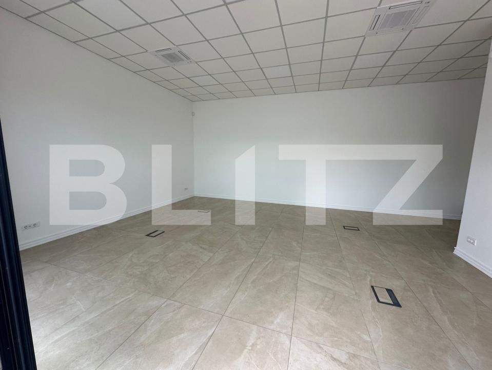 Spațiu comercial de vânzare Lapus Arges - 196987SVC | BLITZ Craiova | Poza2