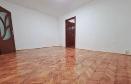Apartament 2 camere, 50 mp, zona Brazda lui Novac