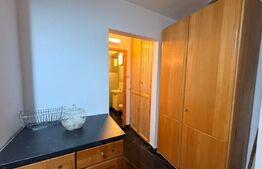 Apartament 2 camere decomandate, 50 mp, Cartierul Valea Roșie
