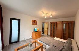 Apartament 2 camere decomandate, 50 mp, Cartierul Valea Roșie