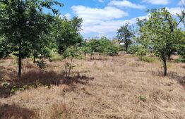Vanzare casa LEU cu 2000mp teren