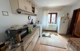 Casă P+1 de vânzare, 153 mp, zona Romanești - Unitatea Militară
