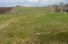 Teren cu casa de vanzare Tuglui, 2200 mp, aproape de padure
