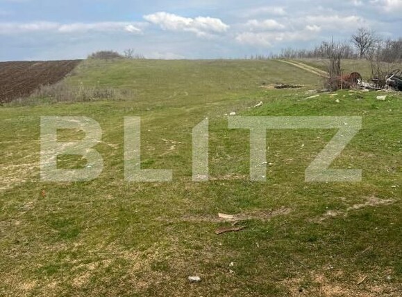 Casa de vânzare 4 camere Podari - 197105CV | BLITZ Craiova | Poza7