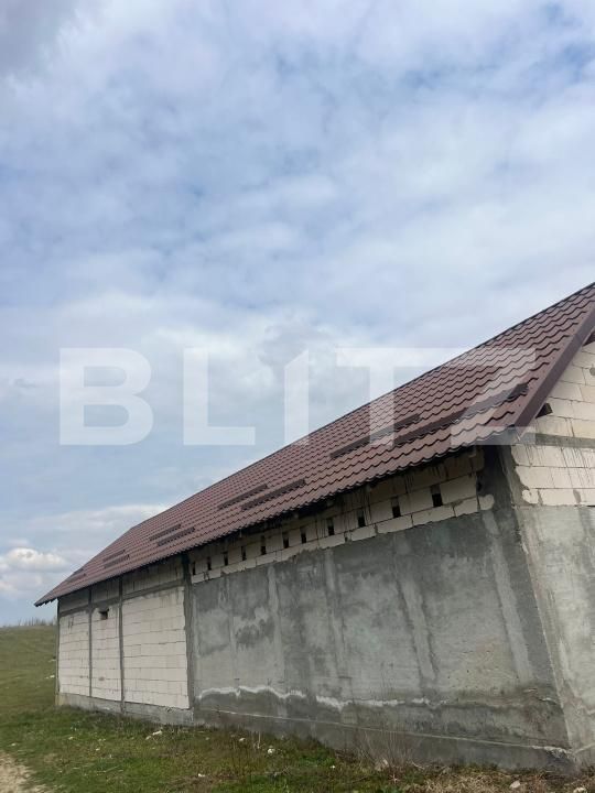Casa de vânzare 4 camere Podari - 197105CV | BLITZ Craiova | Poza4