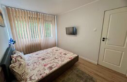 Apartament modern 2 camere, Calea Bucuresti, prima inchiriere, 