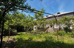 Proprietate cu 2 case bătrânești, 3.345 mp teren, comuna Murgași 