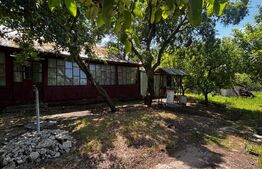 Proprietate cu 2 case bătrânești, 3.345 mp teren, comuna Murgași 
